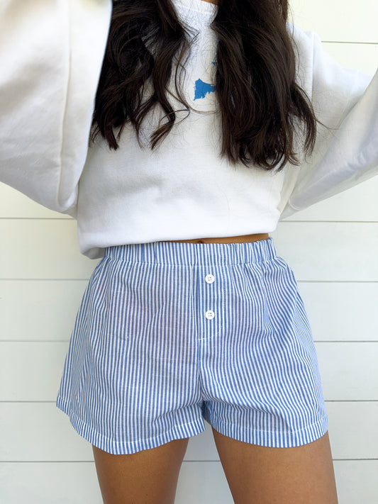 Blue and White Striped Boxer Shorts